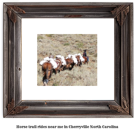 horse trail rides near me in Cherryville, North Carolina